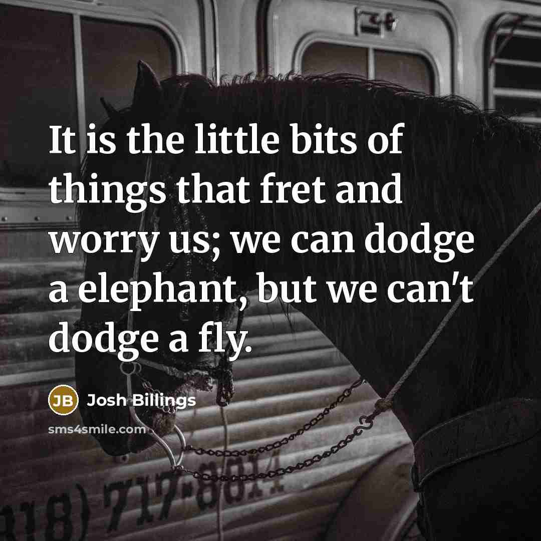 “It is the little bits of things that fret and…” quote by Josh Billings