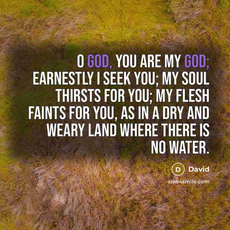 “O God, you are my God; earnestly I seek you;…” quote by David
