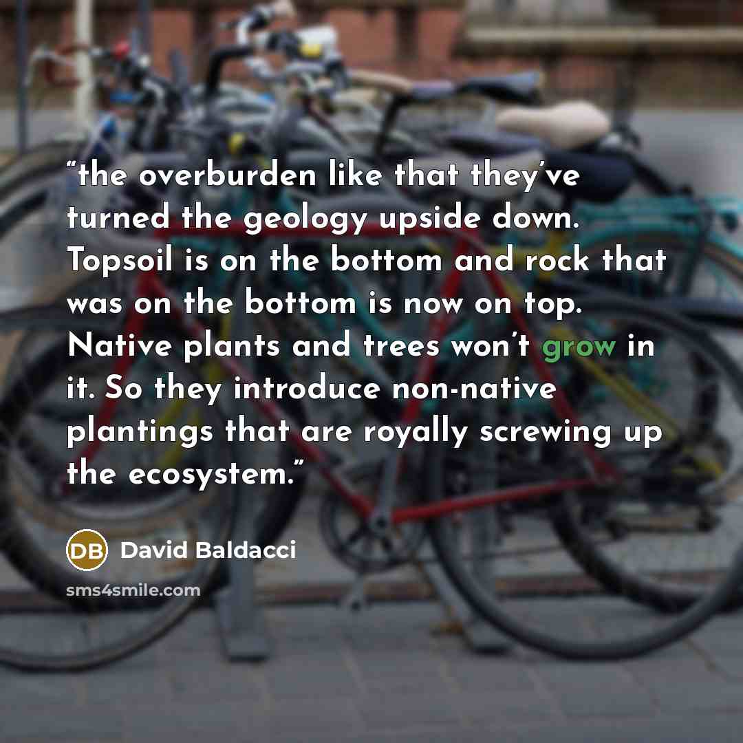 “the overburden like that they’ve turned the geology upside down. Topsoil is on the bottom and rock that was on the bottom is now on top. Native plants and trees won’t grow in it. So they introduce non-native plantings that are royally screwing up the ecosystem.” quote by David Baldacci