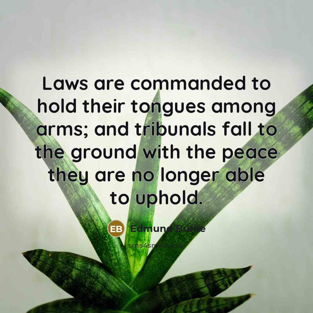“Laws are commanded to hold their tongues among arms; and…” quote by Edmund Burke