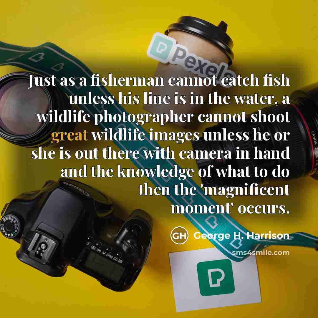 “Just as a fisherman cannot catch fish unless his line is in the water, a wildlife photographer cannot shoot great wildlife images unless he or she is out there with camera in hand and the knowledge of what to do then the 'magnificent moment' occurs.” quote by George H. Harrison