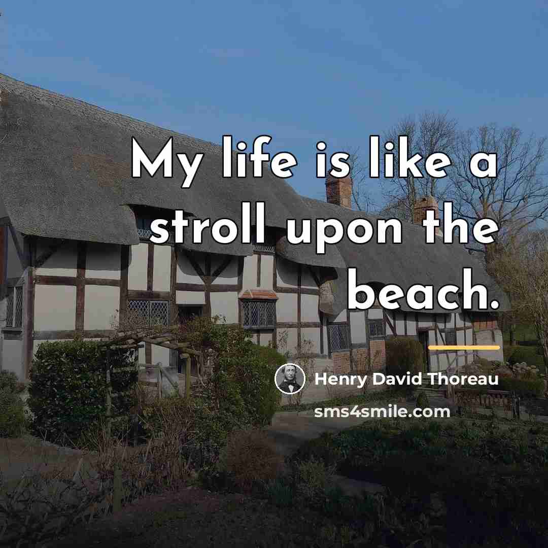 “My life is like a stroll upon the beach.…” quote by Henry David Thoreau
