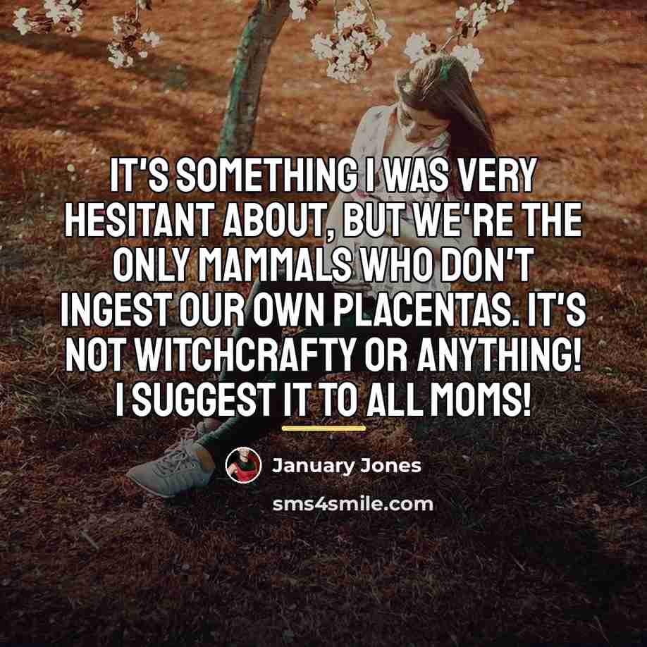 “It's something I was very hesitant about, but we're the…” quote by January Jones