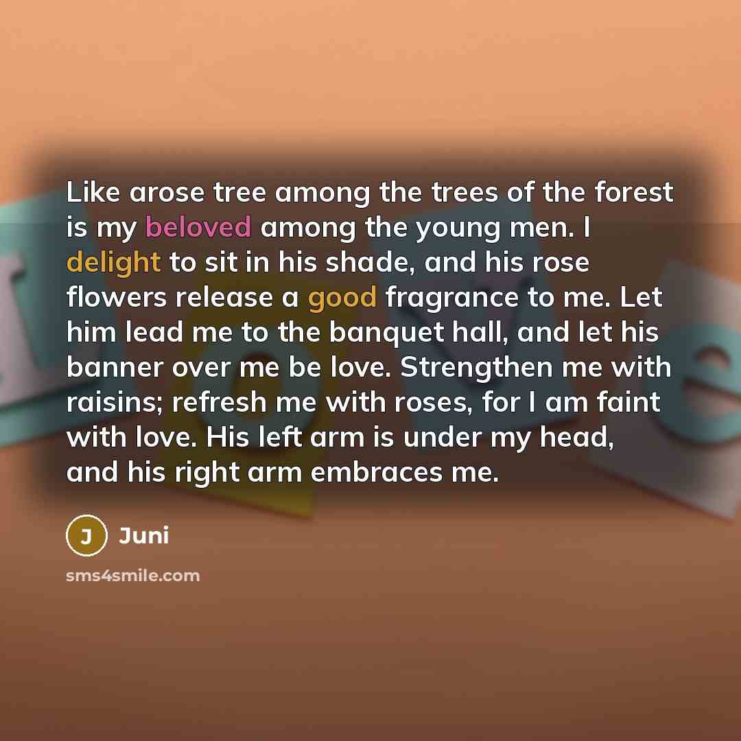 “Like arose tree among the trees of the forest is my beloved among the young men. I delight to sit in his shade, and his rose flowers release a good fragrance to me. Let him lead me to the banquet hall, and let his banner over me be love. Strengthen me with raisins; refresh me with roses, for I am…” quote by Juni