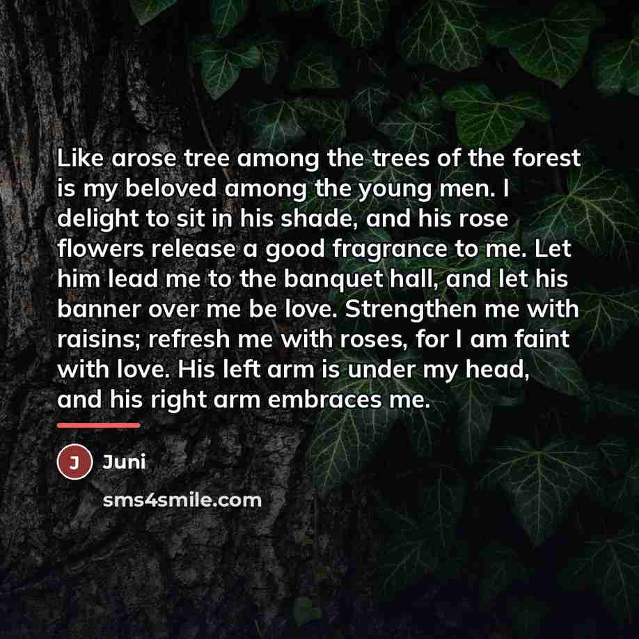 “Like arose tree among the trees of the forest is…” quote by Juni