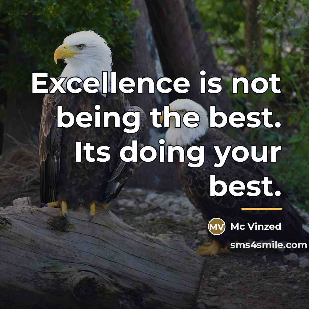 “Excellence is not being the best. Its doing your best.…” quote by Mc Vinzed