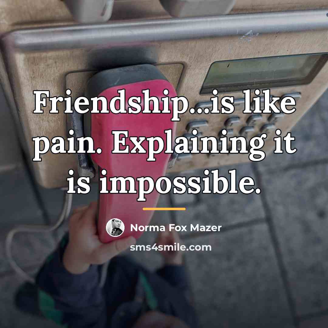 “Friendship...is like pain. Explaining it is impossible.…” quote by Norma Fox Mazer
