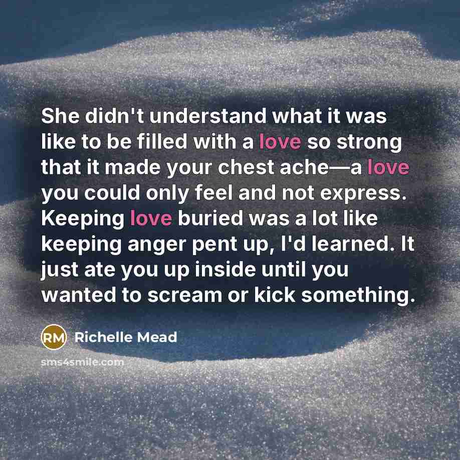 “She didn't understand what it was like to be filled…” quote by Richelle Mead