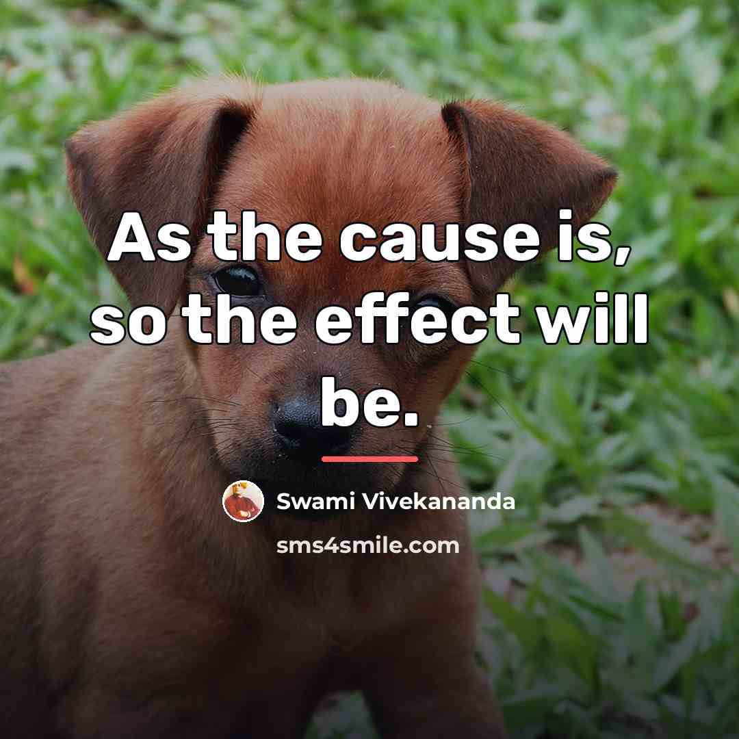 “As the cause is, so the effect will be.…” quote by Swami Vivekananda