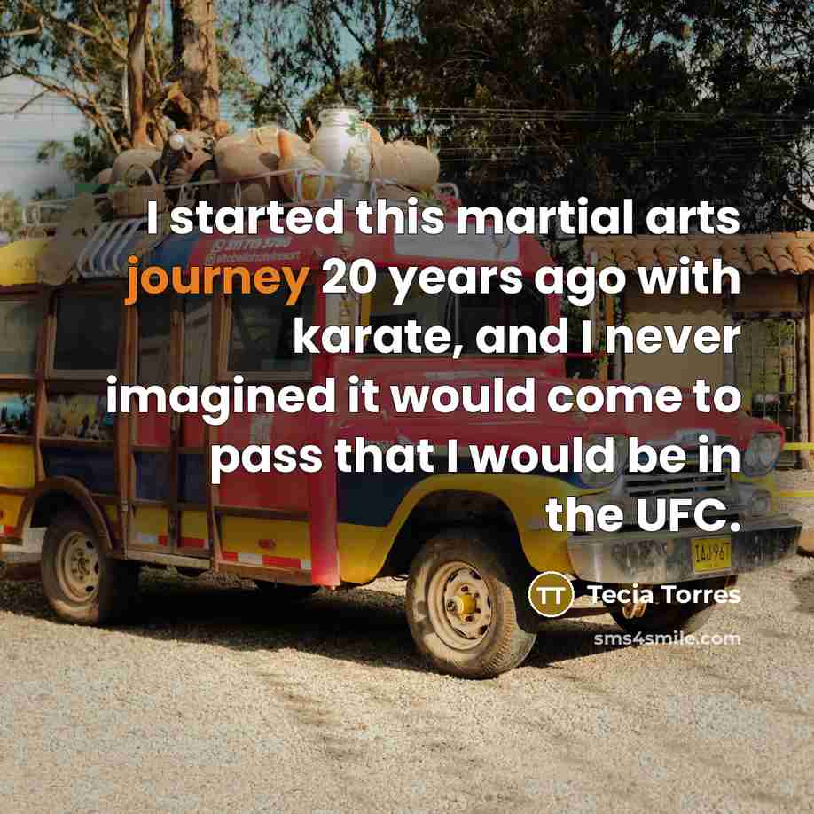 “I started this martial arts journey 20 years ago with…” quote by Tecia Torres