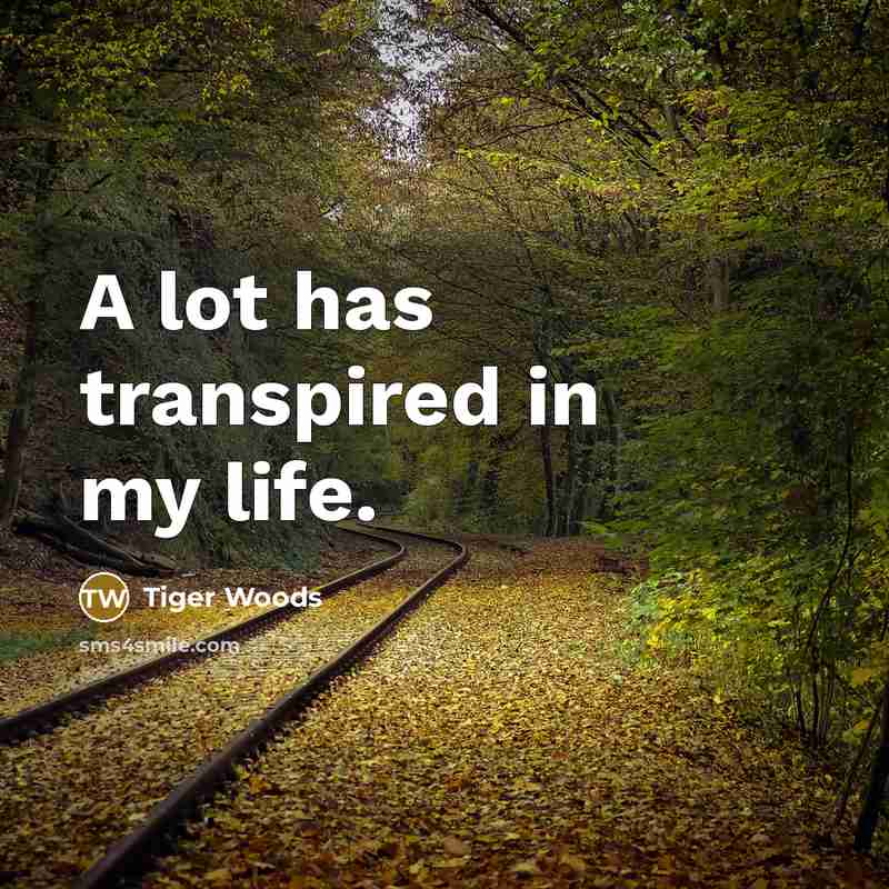 “A lot has transpired in my life.…” quote by Tiger Woods
