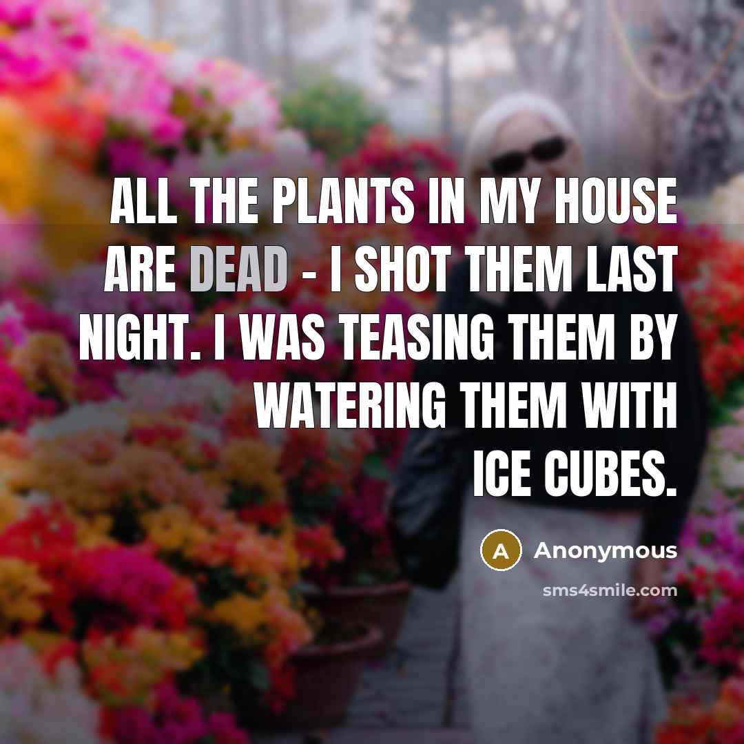 “All the plants in my house are dead - I…” quote by Anonymous