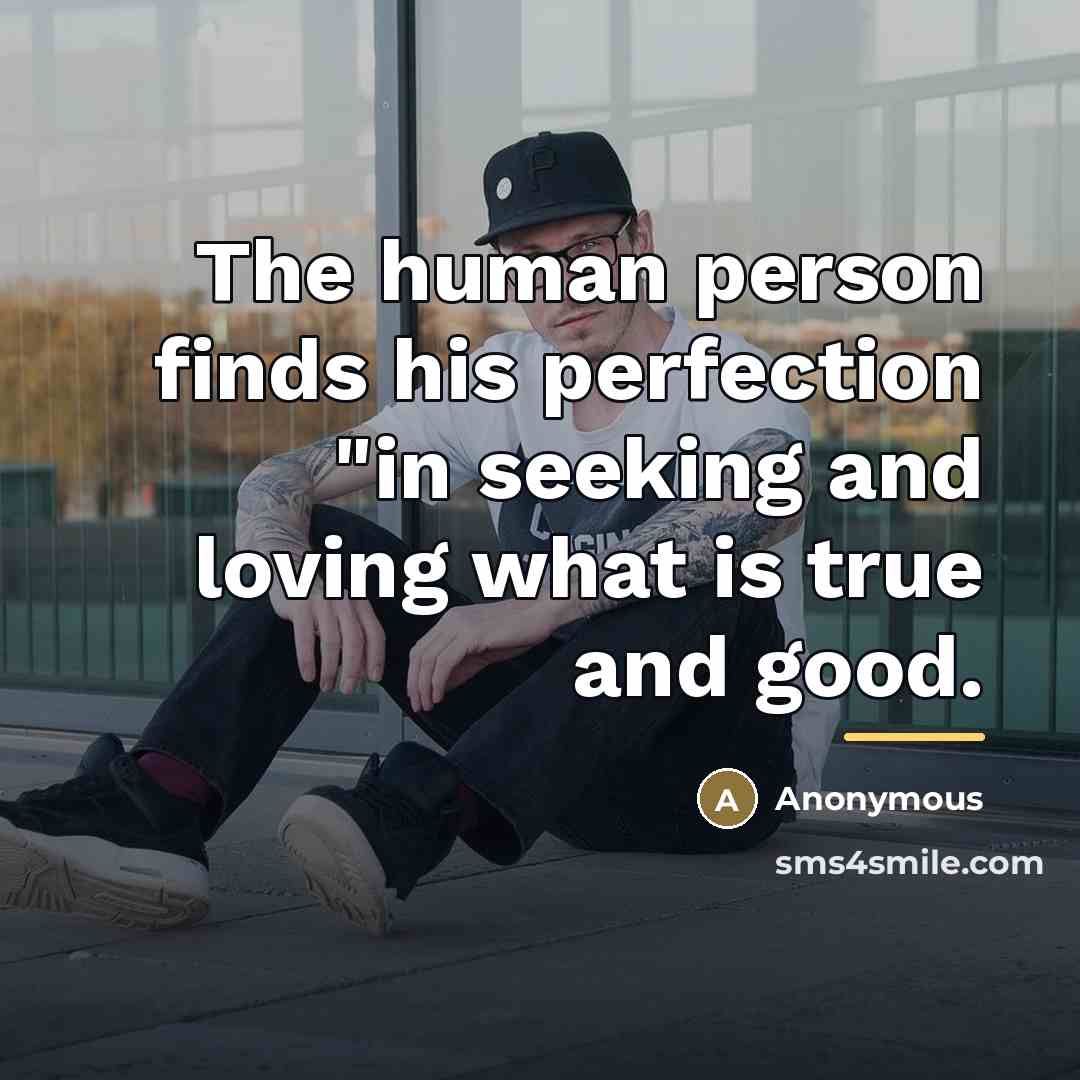 “The human person finds his perfection "in seeking and loving…” quote by Anonymous