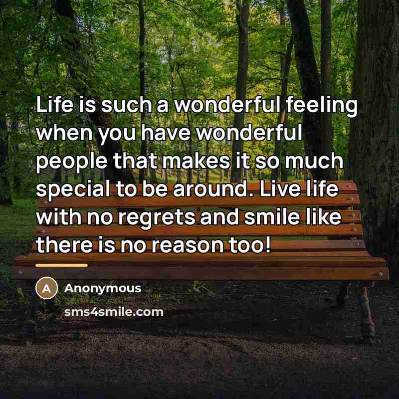 “Life is such a wonderful feeling when you have wonderful…” quote by Anonymous