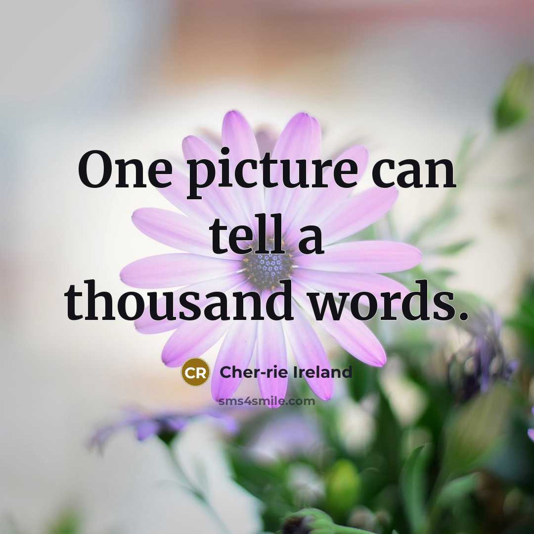 “One picture can tell a thousand words.…” quote by Cher-rie Ireland