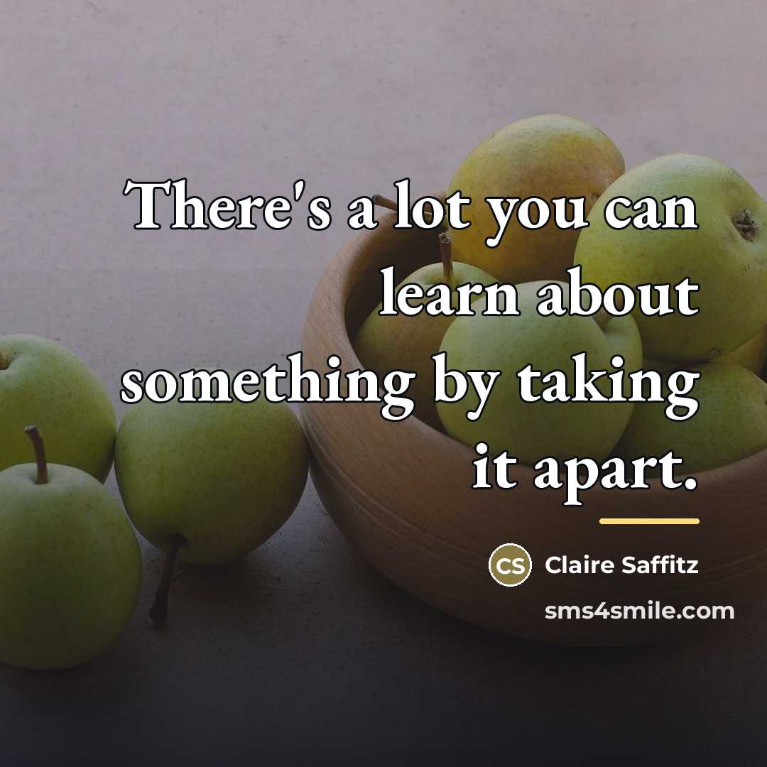 “There's a lot you can learn about something by taking…” quote by Claire Saffitz
