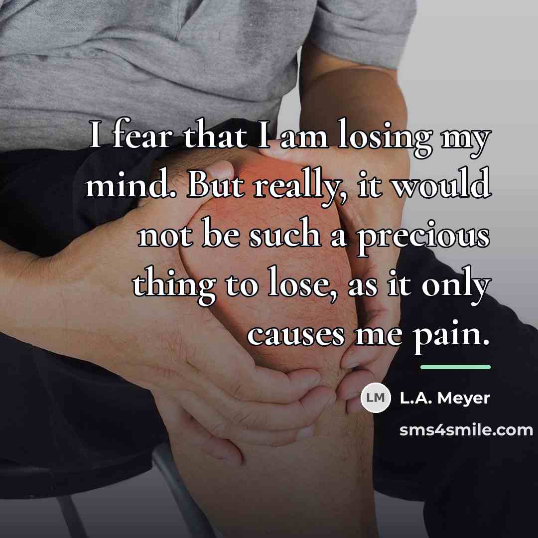 “I fear that I am losing my mind. But really,…” quote by L.A. Meyer