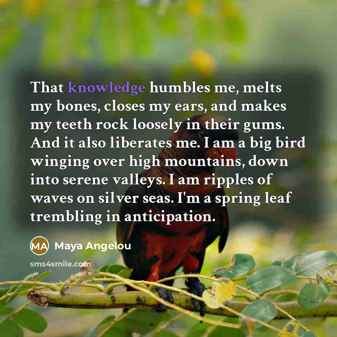 “That knowledge humbles me, melts my bones, closes my ears,…” quote by Maya Angelou