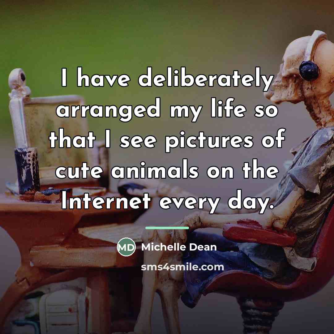 “I have deliberately arranged my life so that I see…” quote by Michelle Dean