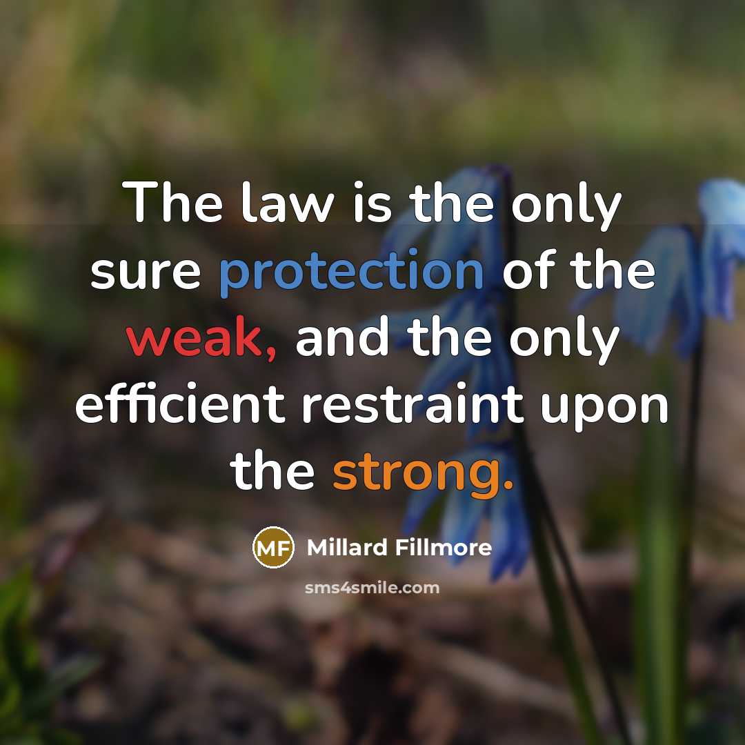 “The law is the only sure protection of the weak,…” quote by Millard Fillmore