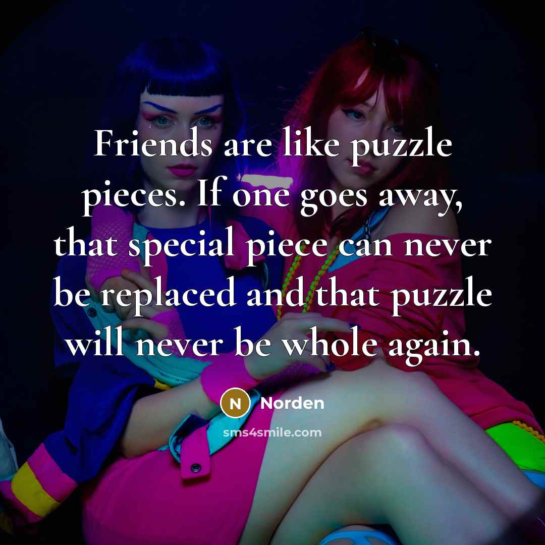 “Friends are like puzzle pieces. If one goes away, that…” quote by Norden