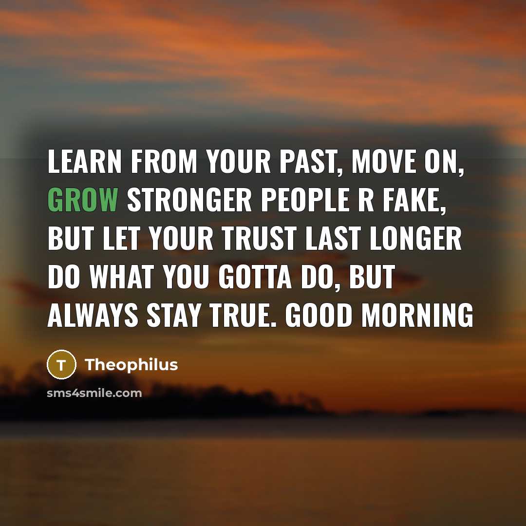 “Learn From Your Past, Move On, Grow Stronger People R…” quote by Theophilus