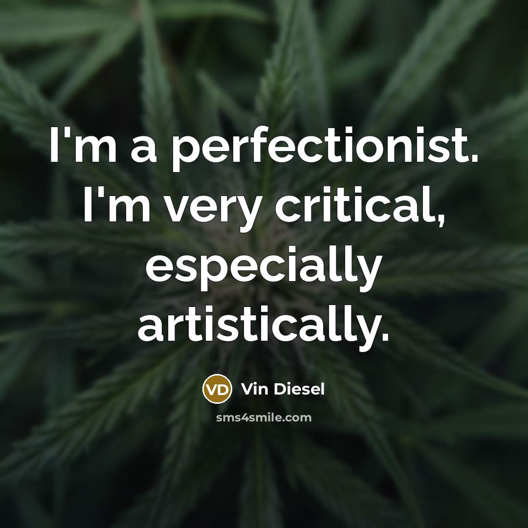 “I'm a perfectionist. I'm very critical, especially artistically.…” quote by Vin Diesel