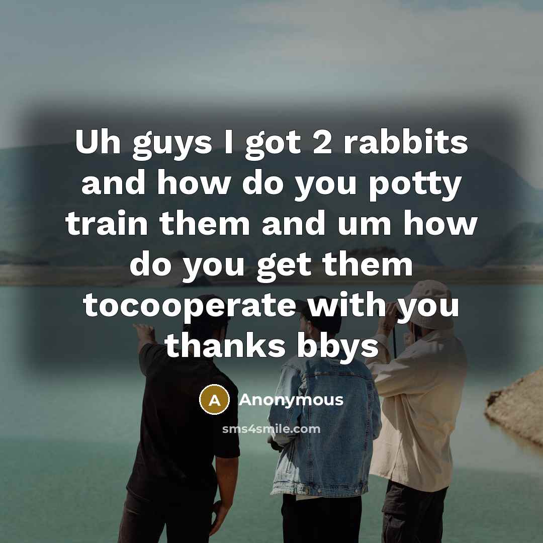 “Uh guys I got 2 rabbits and how do you…” quote by Anonymous