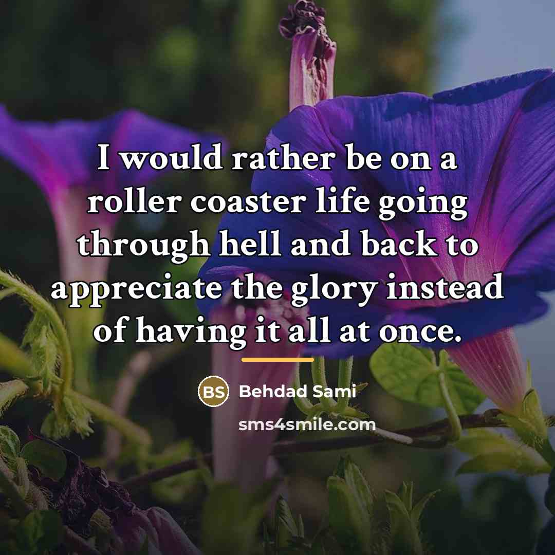 “I would rather be on a roller coaster life going…” quote by Behdad Sami
