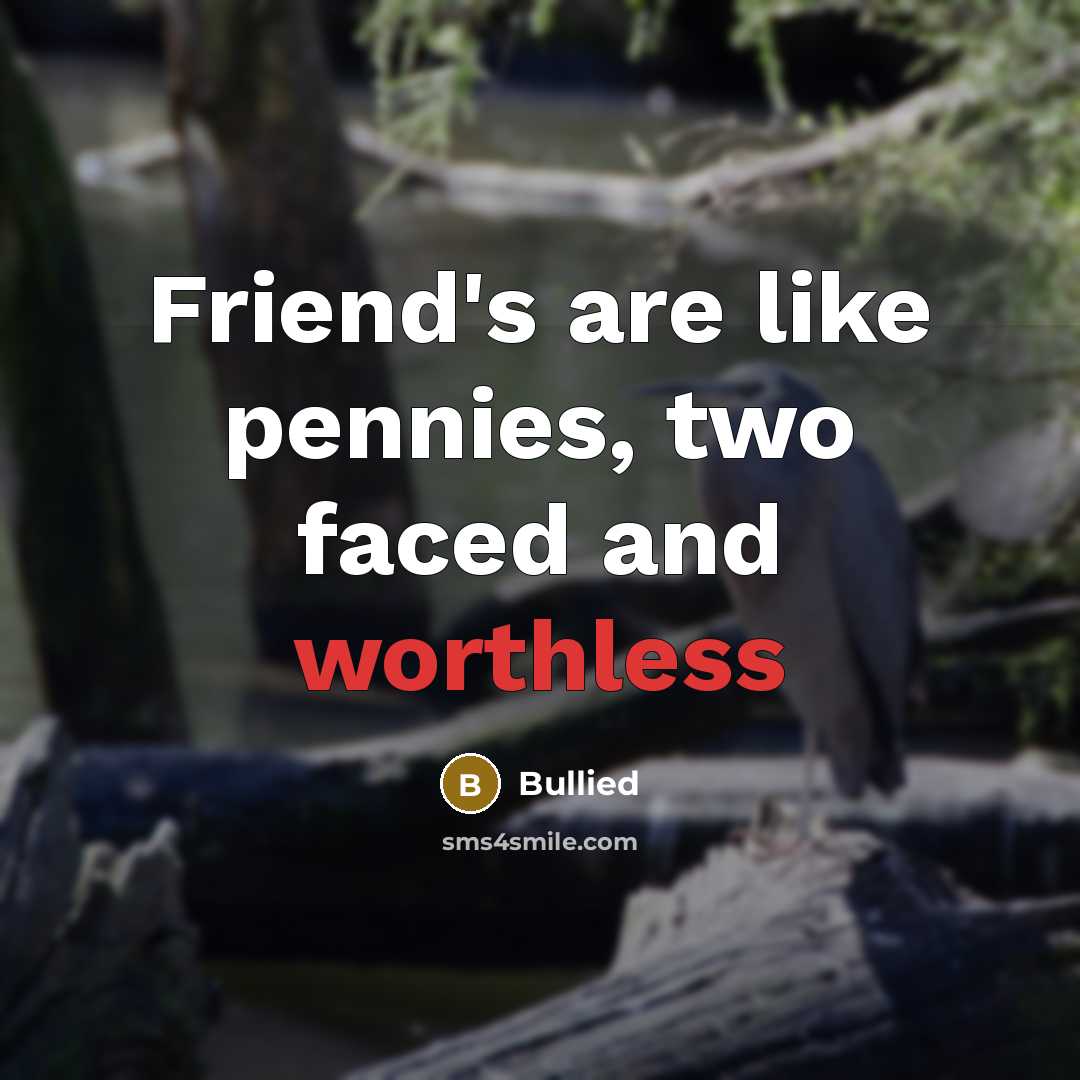 “Friend's are like pennies, two faced and worthless” quote by Bullied