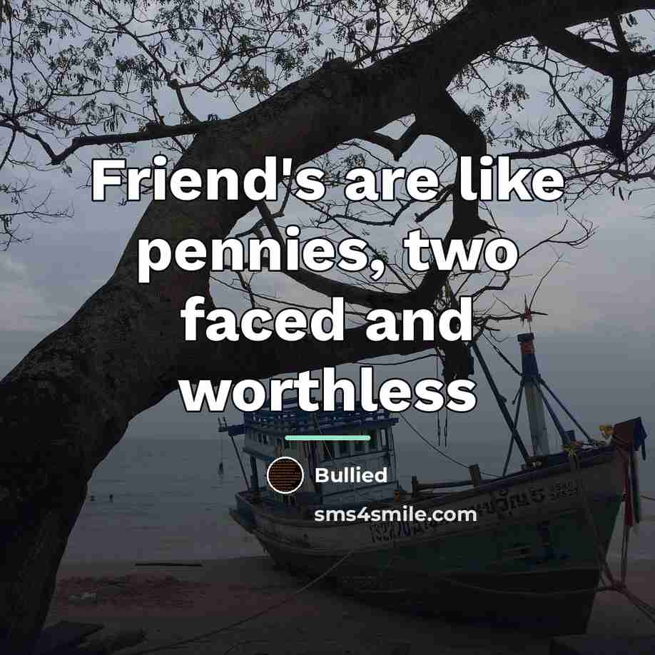 “Friend's are like pennies, two faced and worthless…” quote by Bullied