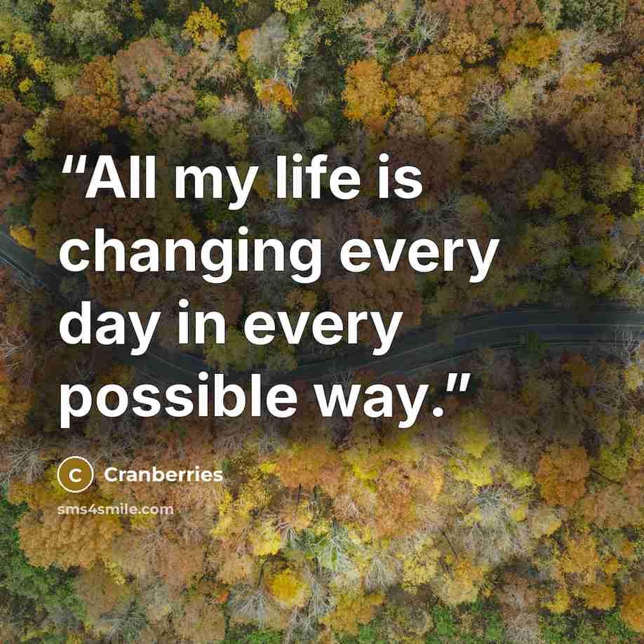 “All my life is changing every day in every possible way.” quote by Cranberries