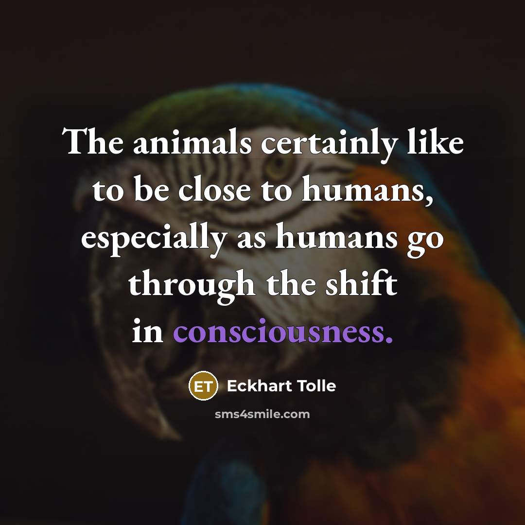 “The animals certainly like to be close to humans, especially…” quote by Eckhart Tolle
