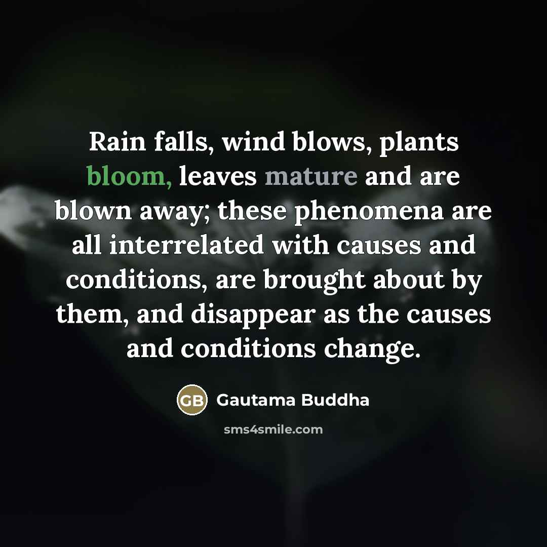 “Rain falls, wind blows, plants bloom, leaves mature and are…” quote by Gautama Buddha