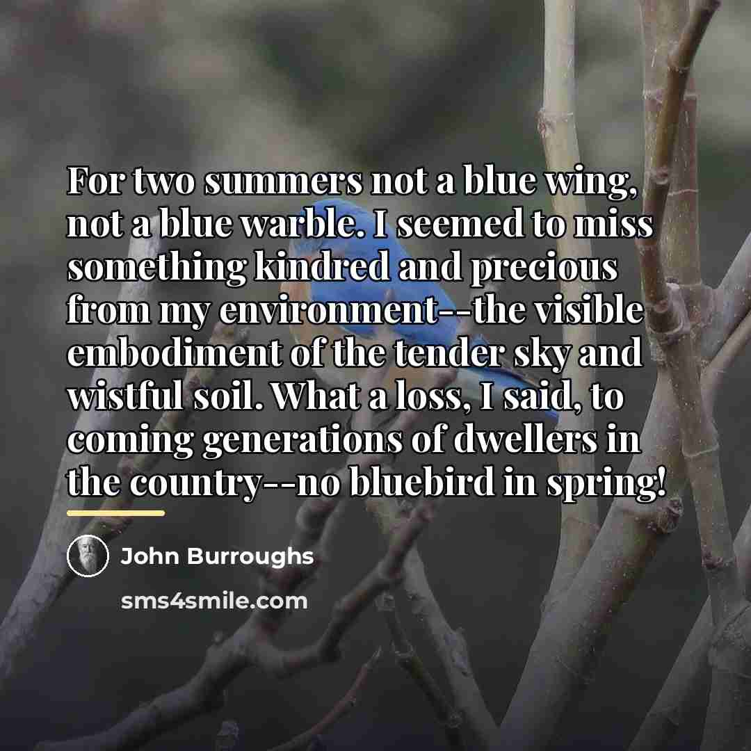 “For two summers not a blue wing, not a blue…” quote by John Burroughs