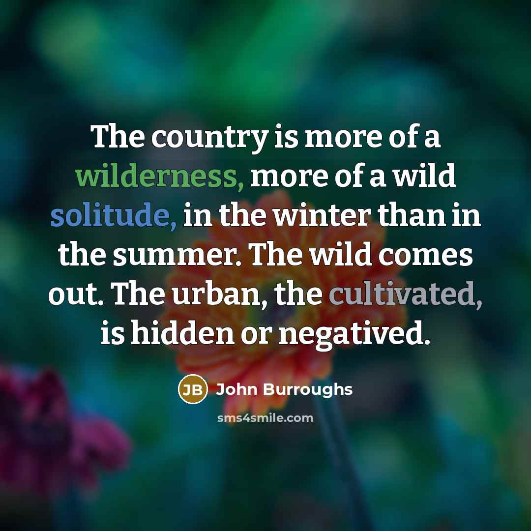 “The country is more of a wilderness, more of a…” quote by John Burroughs