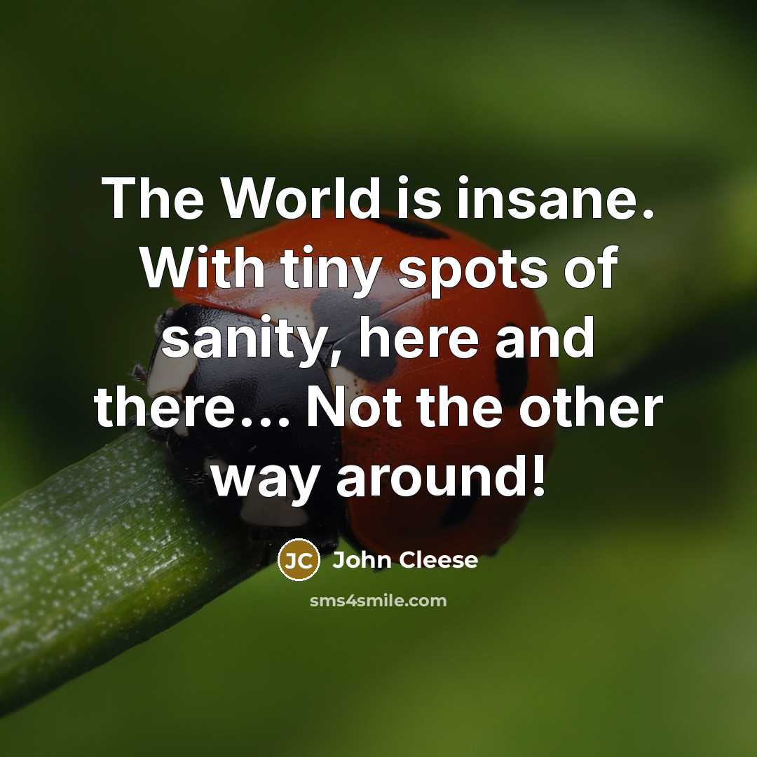 “The World is insane. With tiny spots of sanity, here…” quote by John Cleese