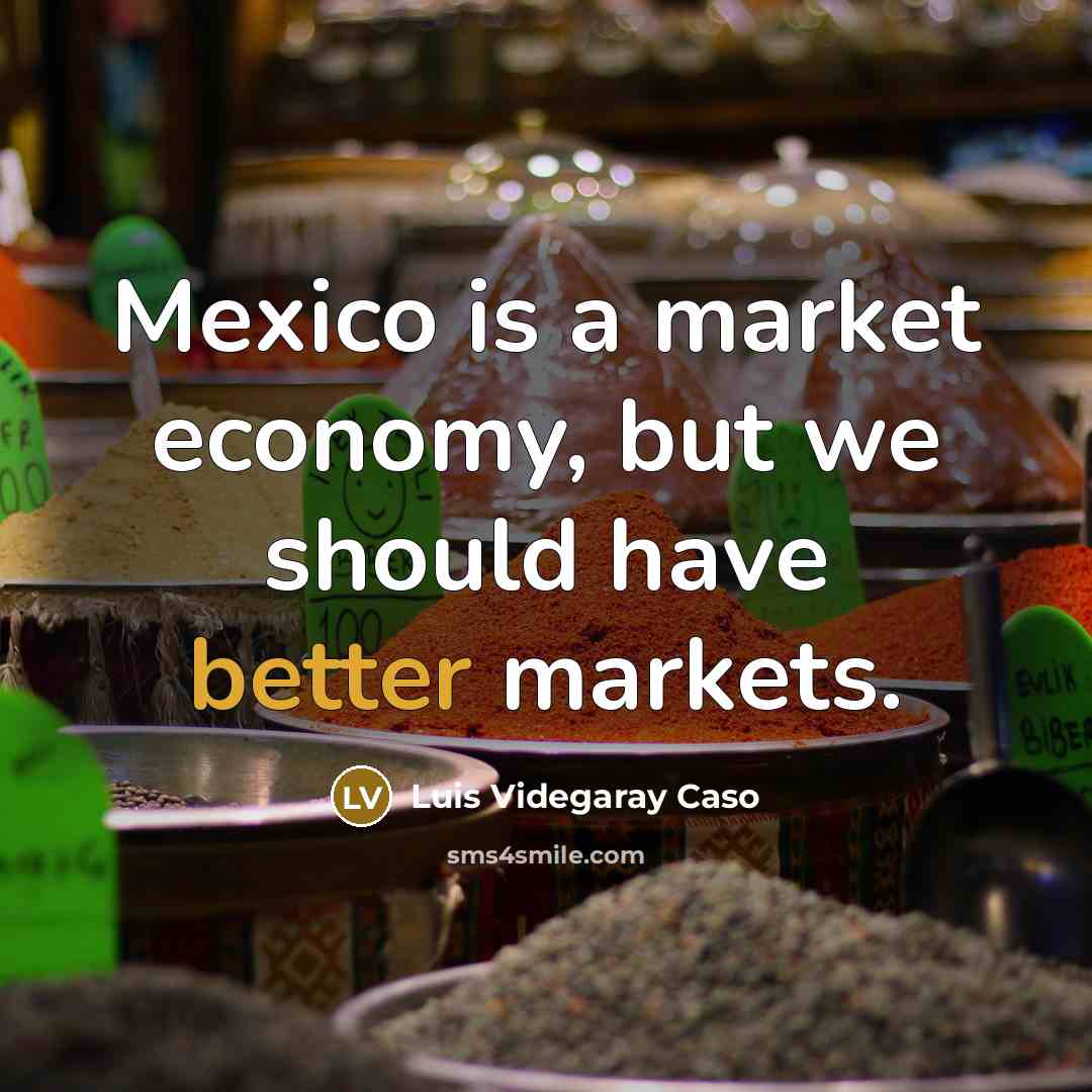 “Mexico is a market economy, but we should have better…” quote by Luis Videgaray Caso