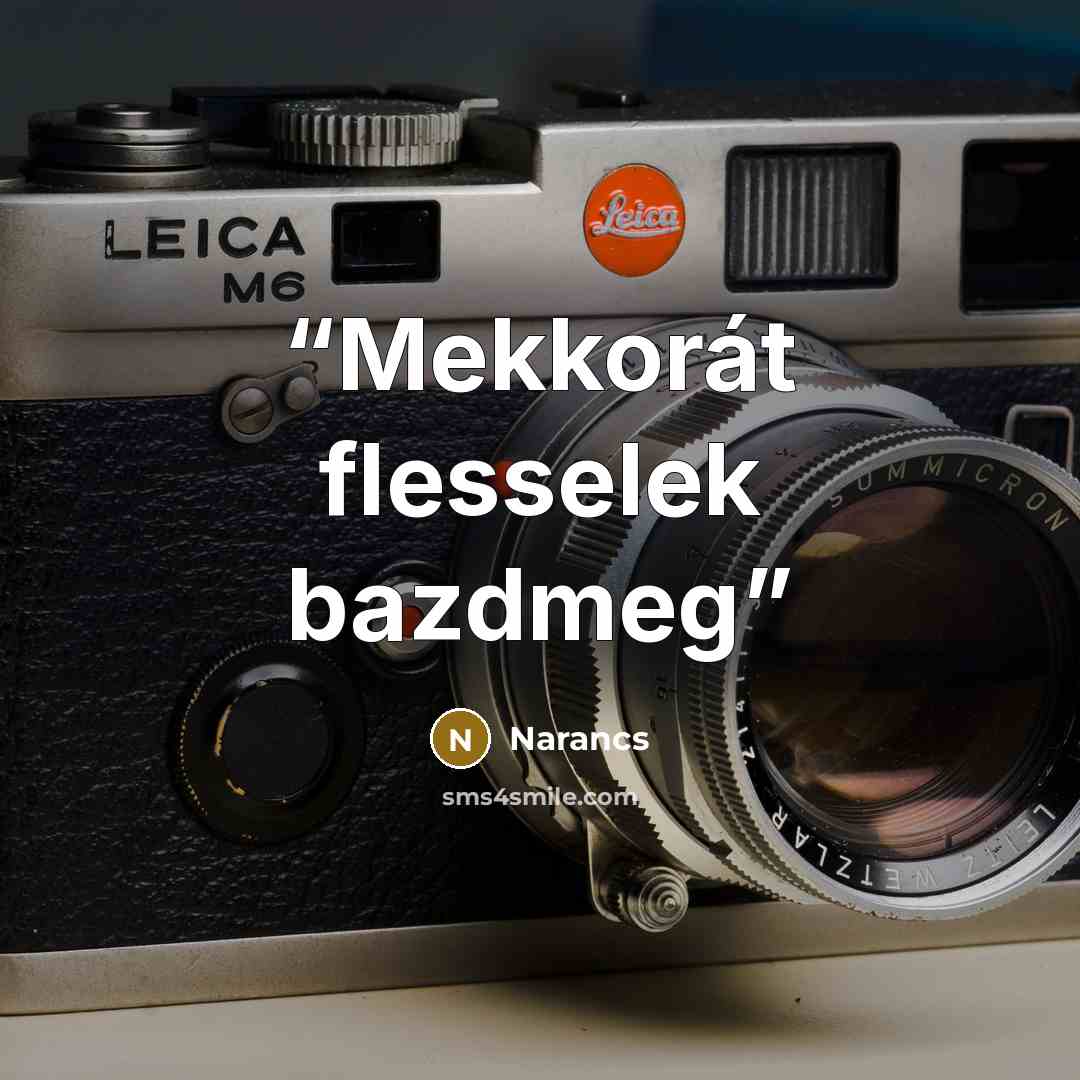 “Mekkorát flesselek bazdmeg” quote by Narancs