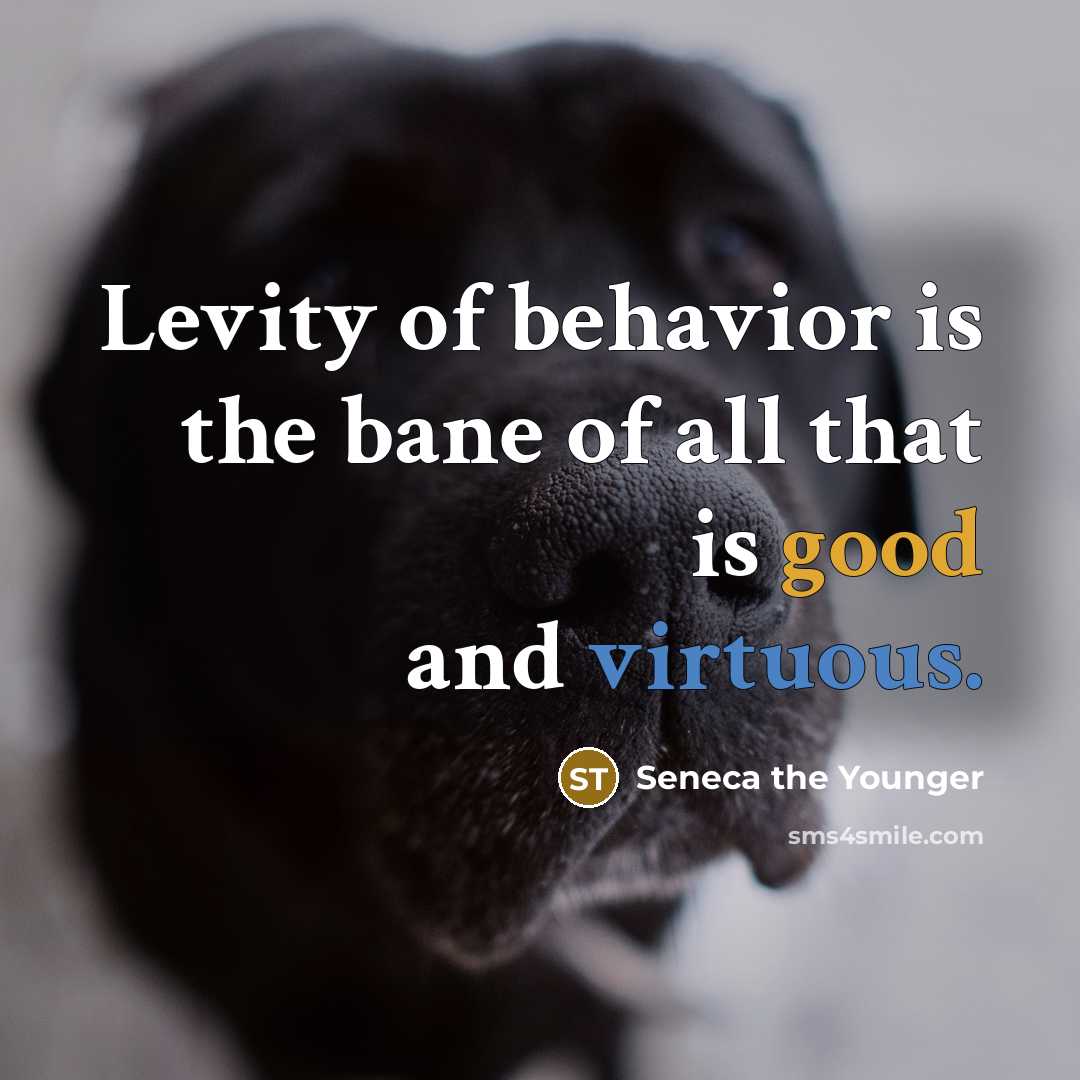 “Levity of behavior is the bane of all that is…” quote by Seneca the Younger