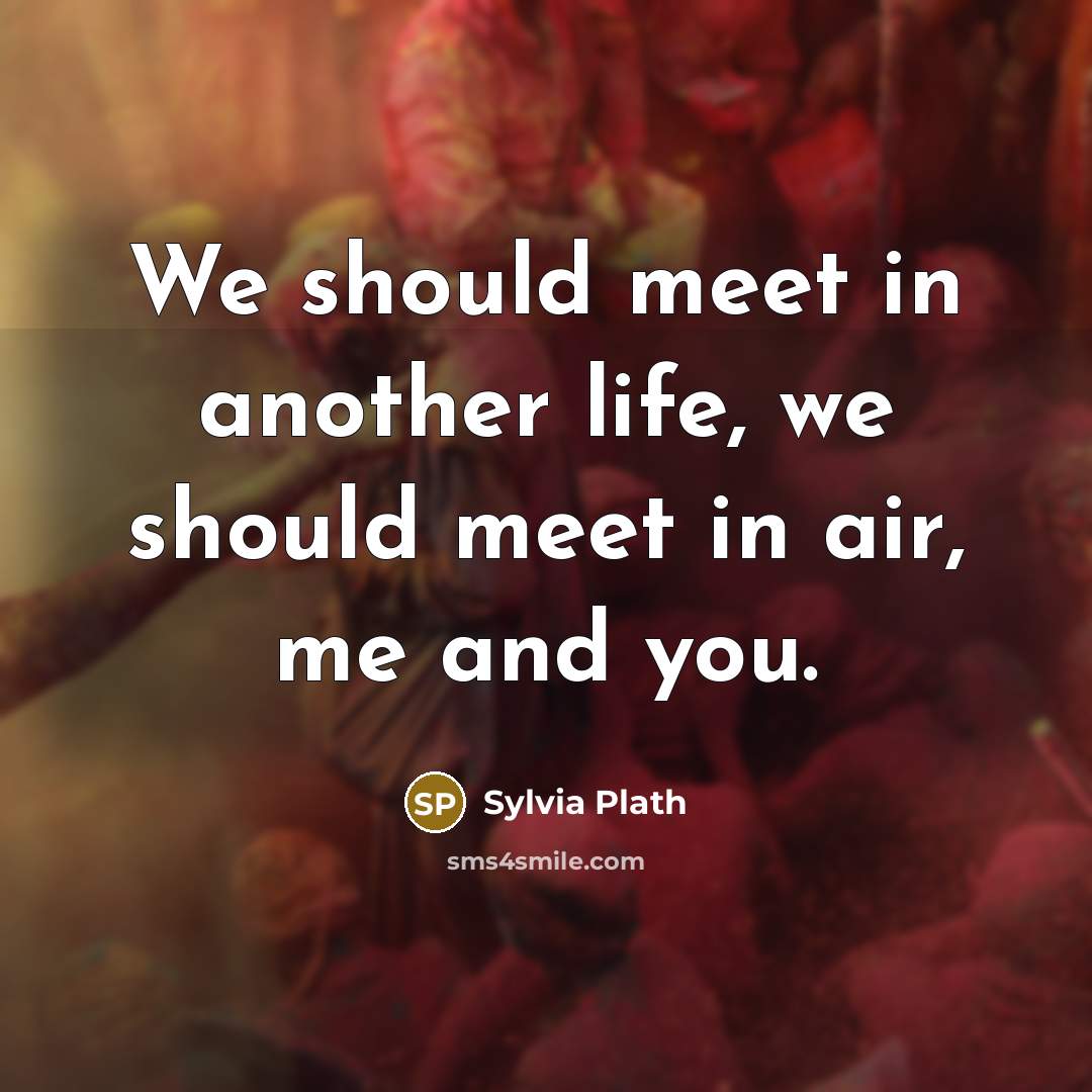 “We should meet in another life, we should meet in…” quote by Sylvia Plath