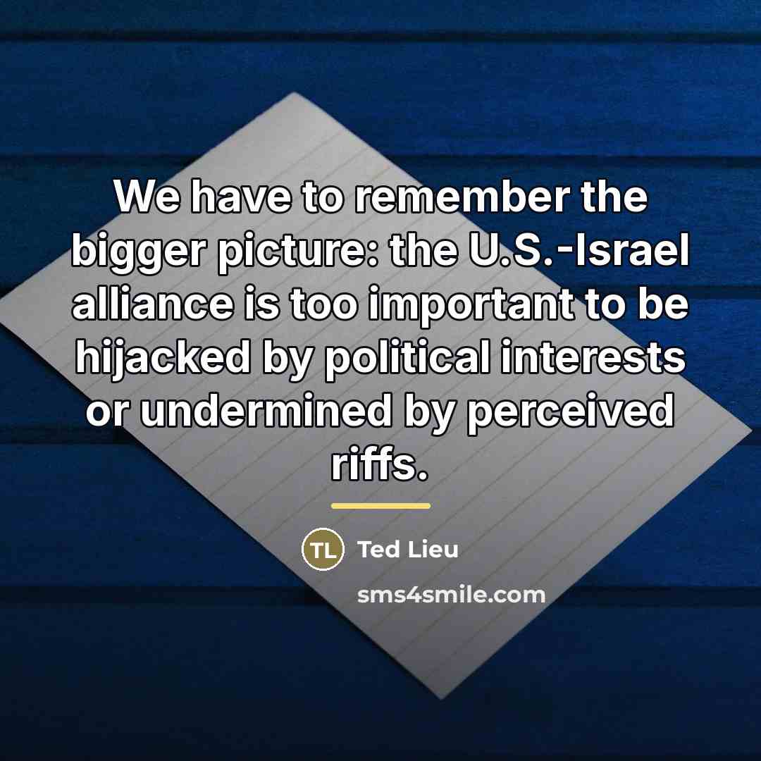 “We have to remember the bigger picture: the U.S.-Israel alliance…” quote by Ted Lieu