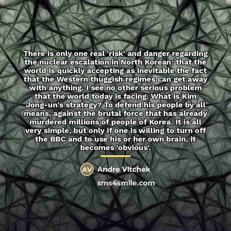 “There is only one real 'risk' and danger regarding the…” quote by Andre Vltchek