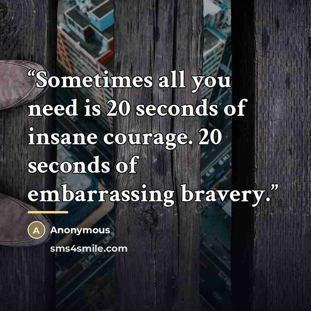 “Sometimes all you need is 20 seconds of insane courage. 20 seconds of embarrassing bravery.” quote by Anonymous