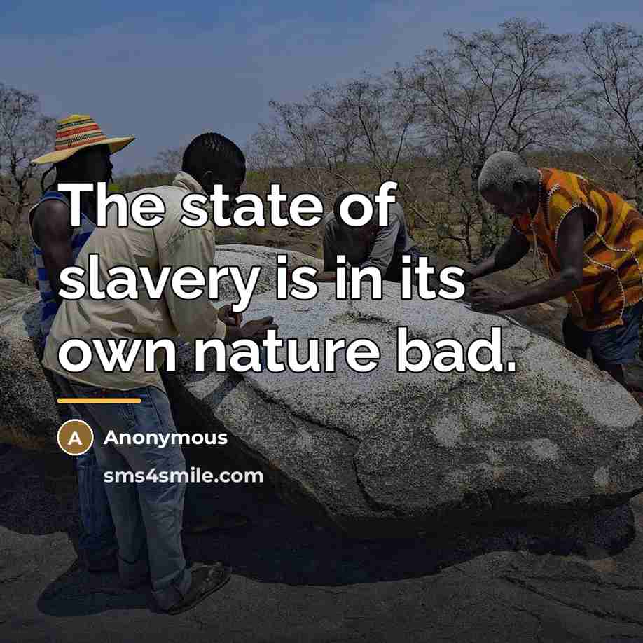 “The state of slavery is in its own nature bad.…” quote by Anonymous