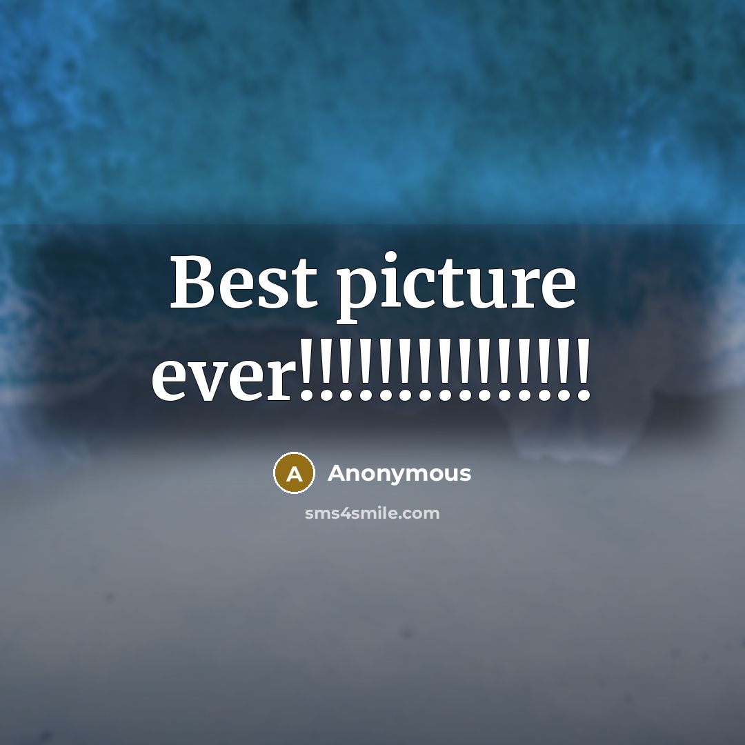 “Best picture ever!!!!!!!!!!!!!!!” quote by Anonymous
