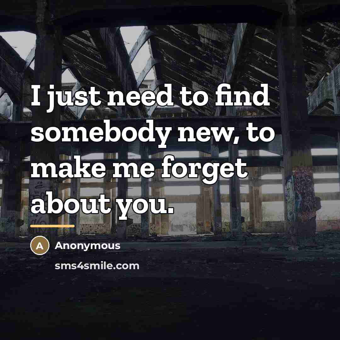 “I just need to find somebody new, to make me…” quote by Anonymous