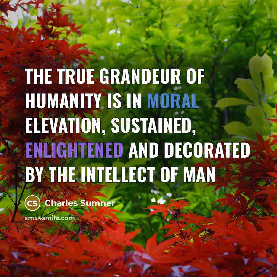 “The true grandeur of humanity is in moral elevation, sustained,…” quote by Charles Sumner