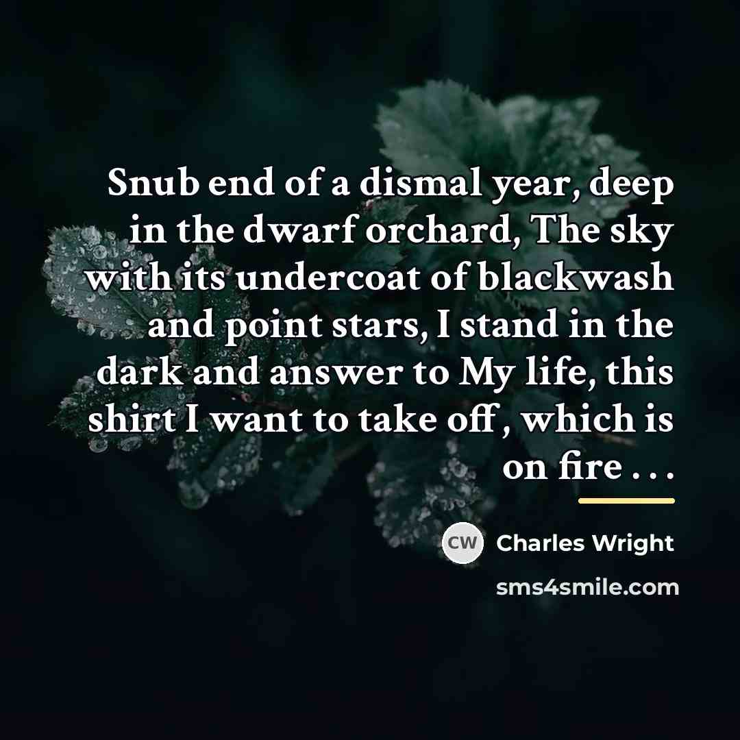 “Snub end of a dismal year, deep in the dwarf…” quote by Charles Wright