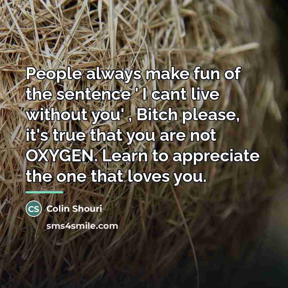 “People always make fun of the sentence ' I cant…” quote by Colin Shouri